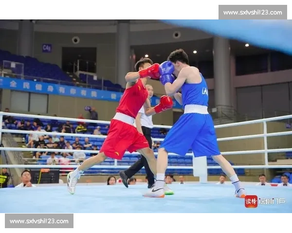 世纪巅峰对决回顾世界经典拳击激战瞬间全纪录